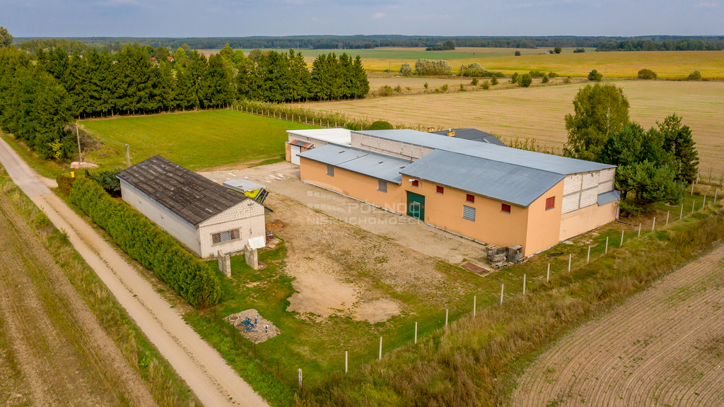 Magazyn na sprzedaż, 1000&nbsp;m², Topolany - zdjęcie 3