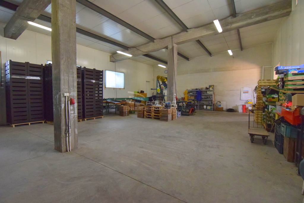 Magazyn na sprzedaż, 1000&nbsp;m², Topolany - zdjęcie 17