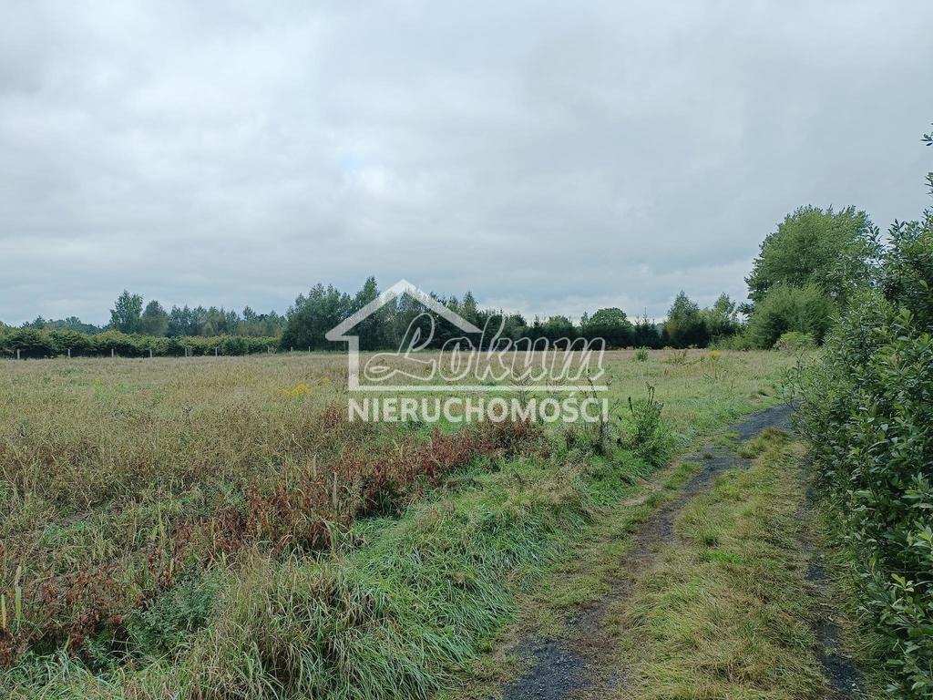 Działka budowlana 1107&nbsp;m², Imno - zdjęcie 8