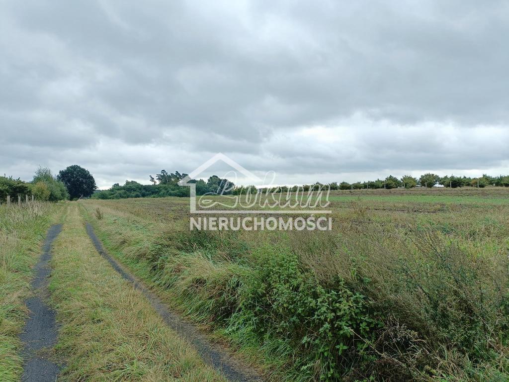Działka budowlana 1107&nbsp;m², Imno - zdjęcie 7