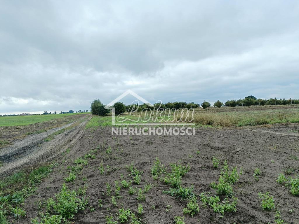 Działka budowlana 1107&nbsp;m², Imno - zdjęcie 9