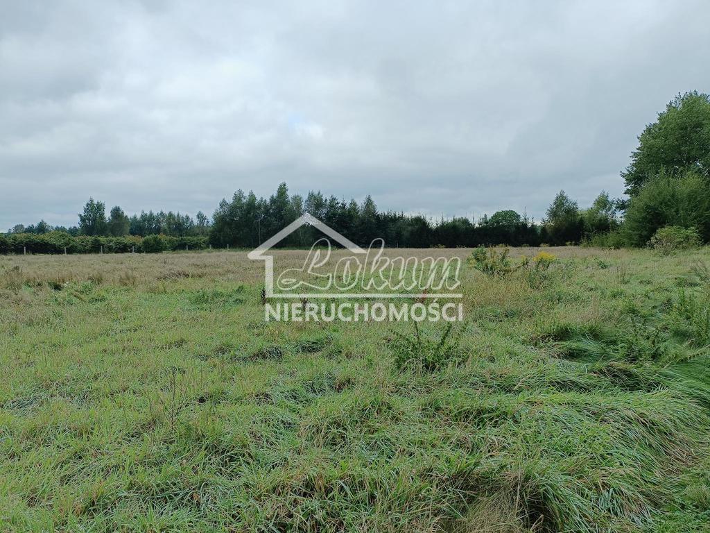 Działka budowlana 1107&nbsp;m², Imno - zdjęcie 6