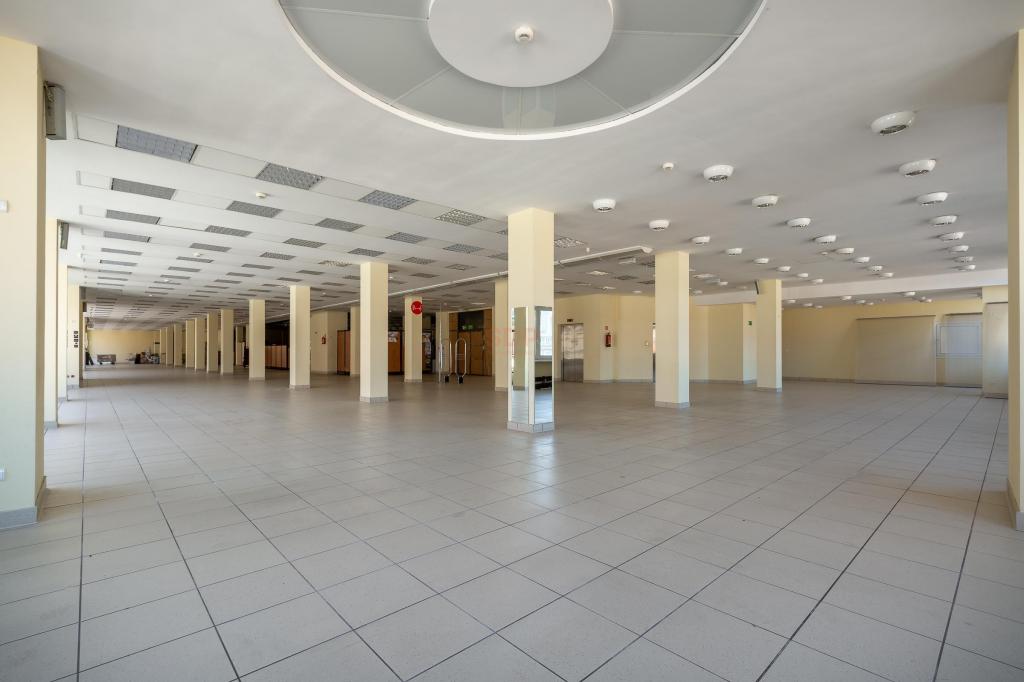 Lokal usługowy do wynajęcia, 900 m², Wrocław, Stare Miasto, Rynek - zdjęcie 7