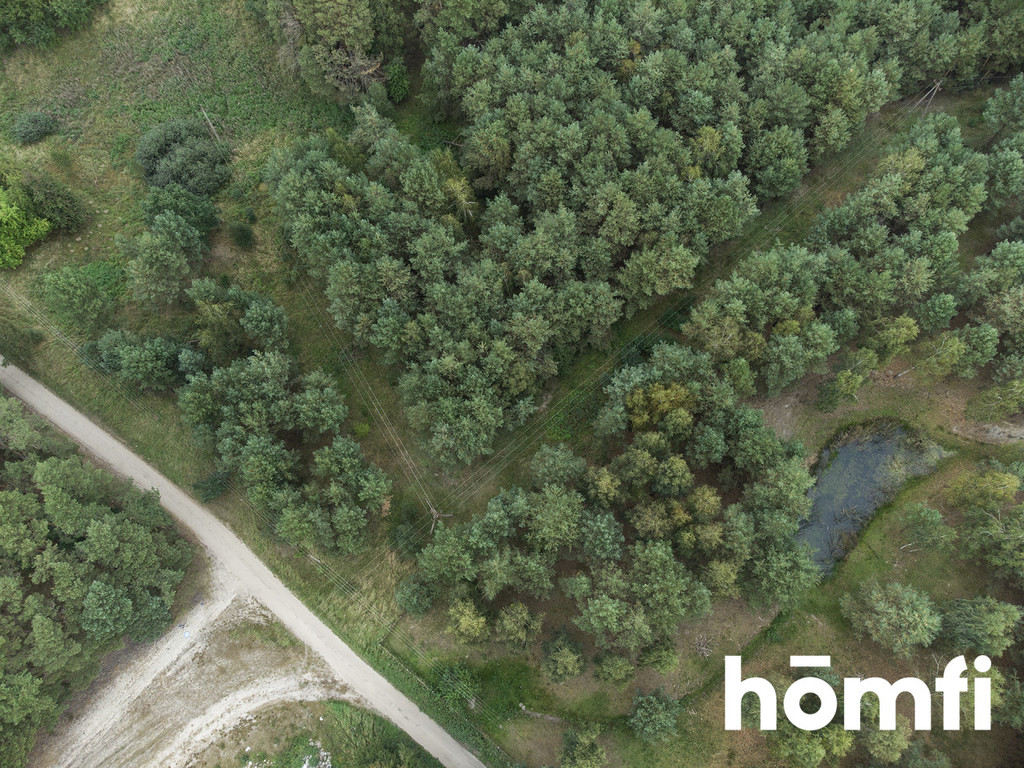 Działka budowlana 2,17&nbsp;ha, Budziszewice - zdjęcie 2