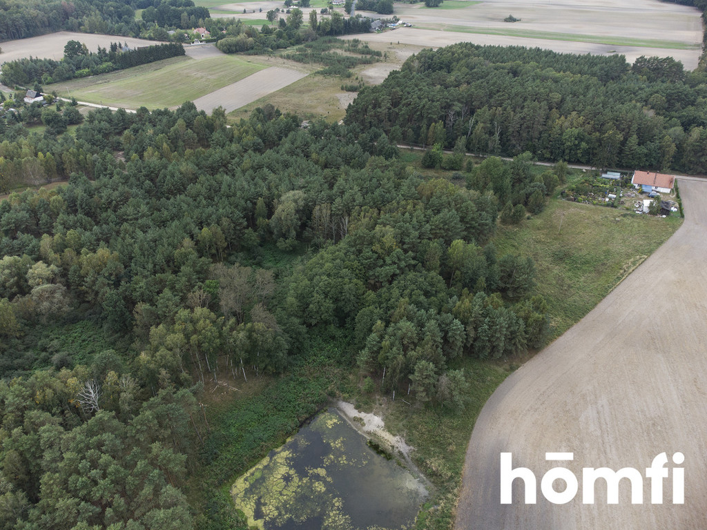 Działka budowlana 2,17&nbsp;ha, Budziszewice - zdjęcie 7