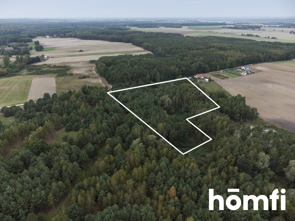 Działka budowlana 2,17&nbsp;ha, Budziszewice - zdjęcie 1