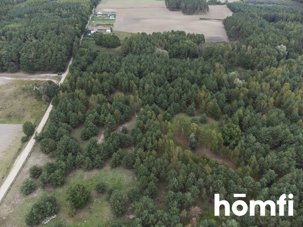 Działka budowlana 2,17&nbsp;ha, Budziszewice - zdjęcie 4