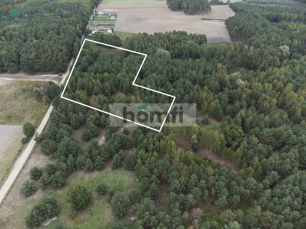 Działka budowlana 2,17&nbsp;ha, Budziszewice - zdjęcie 8