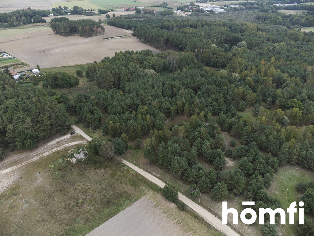 Działka budowlana 2,17&nbsp;ha, Budziszewice - zdjęcie 3