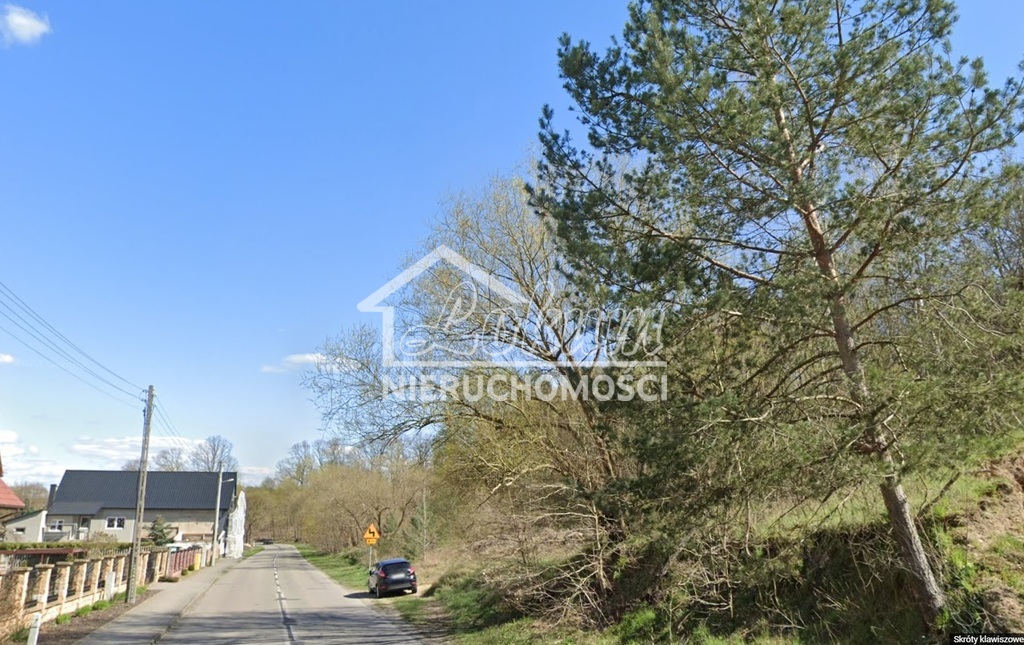 Działka rolna 4733 m², Radziszewo - zdjęcie 3