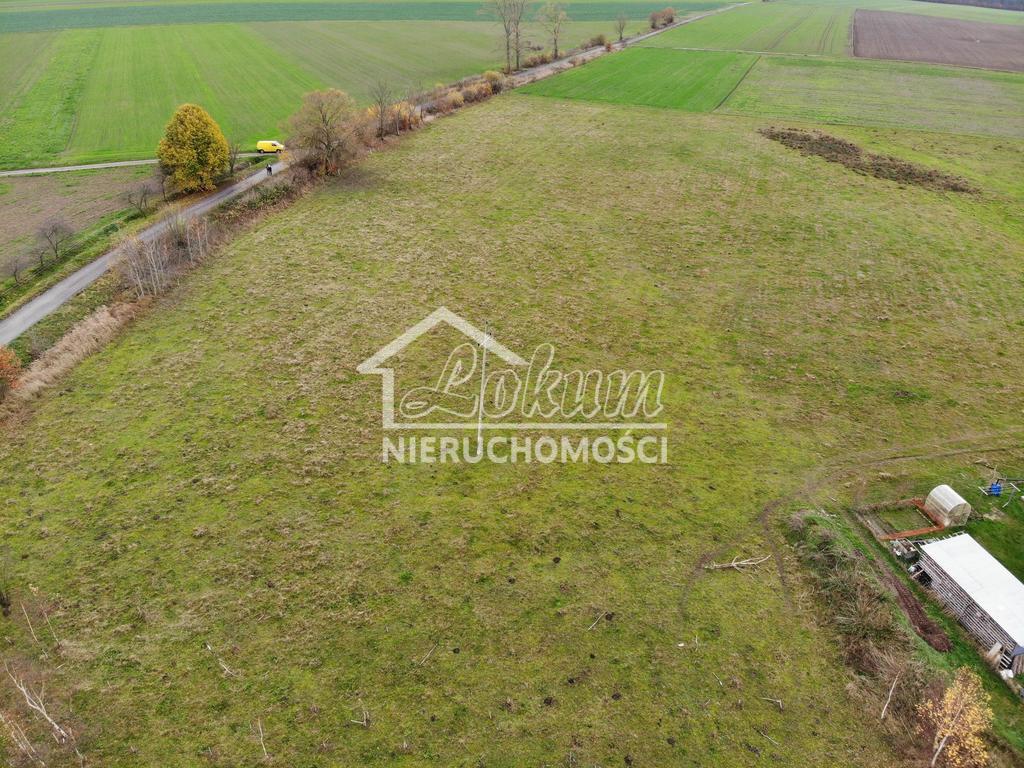Działka budowlana 1507 m², Kościuszki - zdjęcie 6