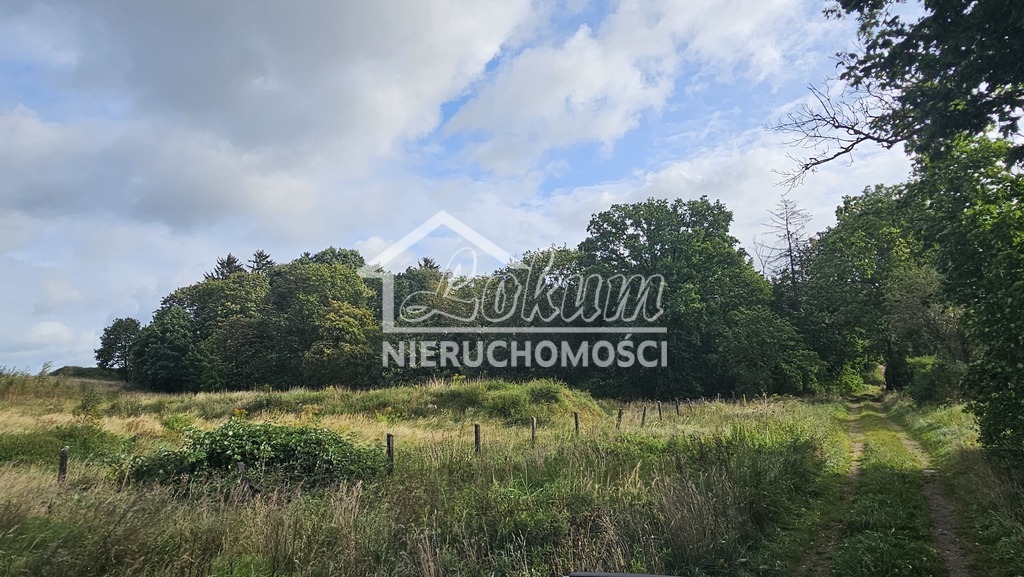 Działka budowlana 3871 m², Niekładź - zdjęcie 2