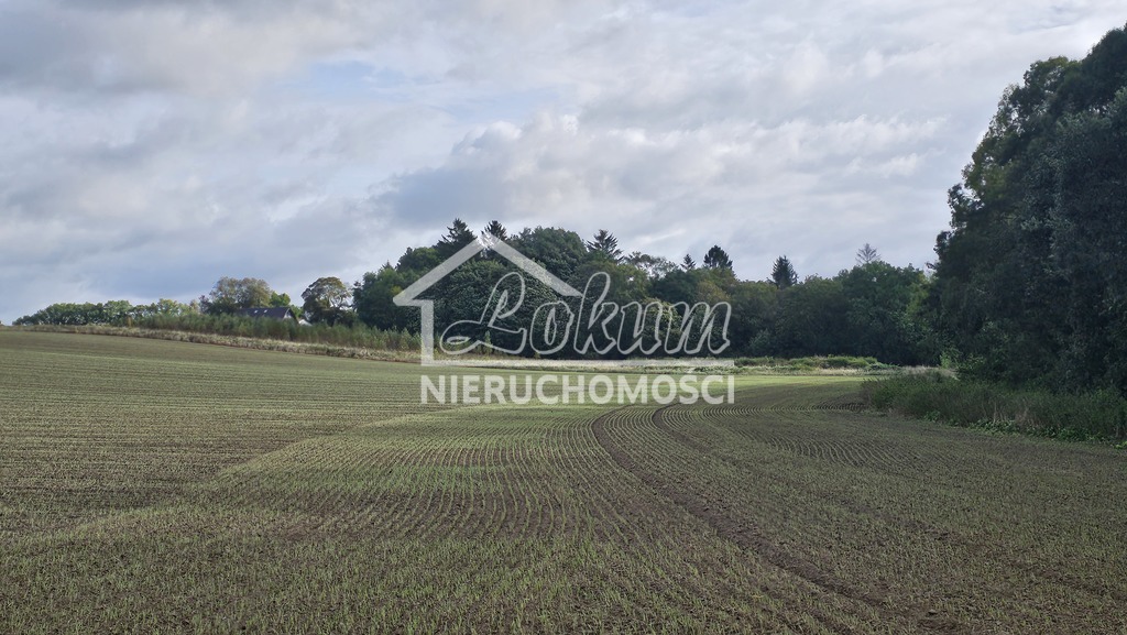 Działka budowlana 3871 m², Niekładź - zdjęcie 3