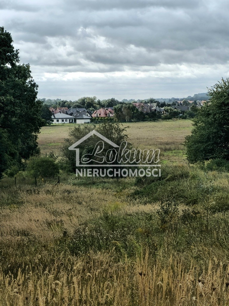Działka budowlana 3871 m², Niekładź - zdjęcie 1