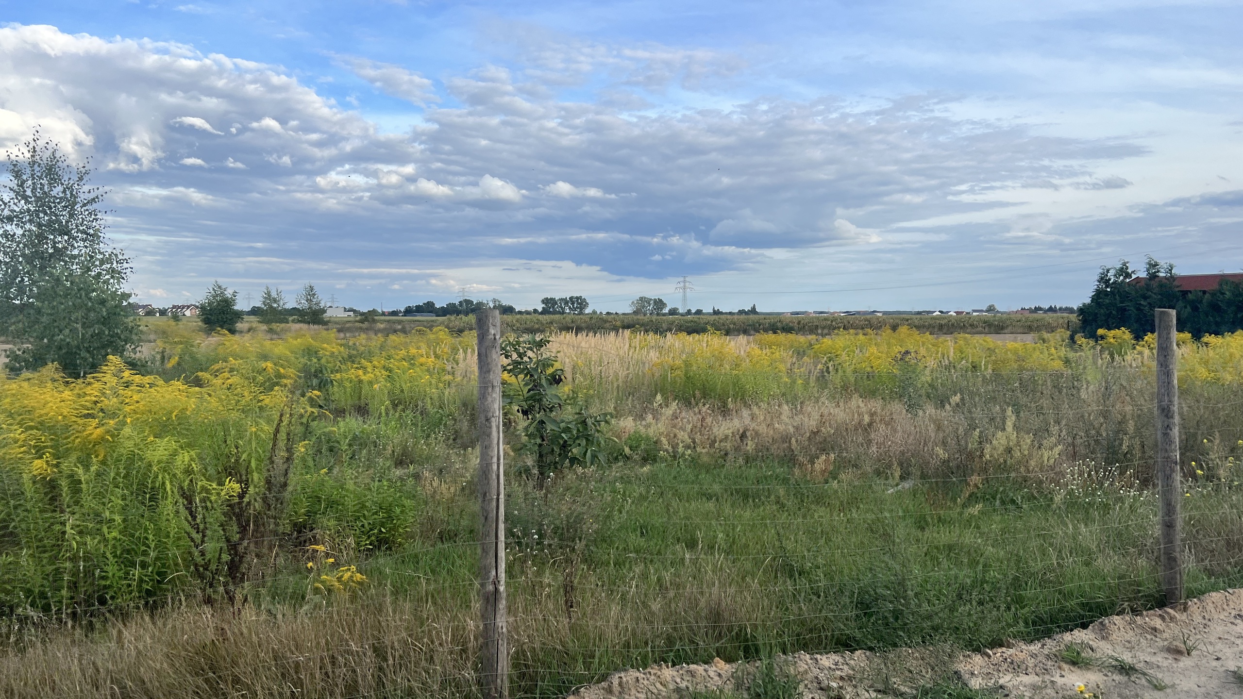 Działka w spokojnej okolicy - zdjęcie 7