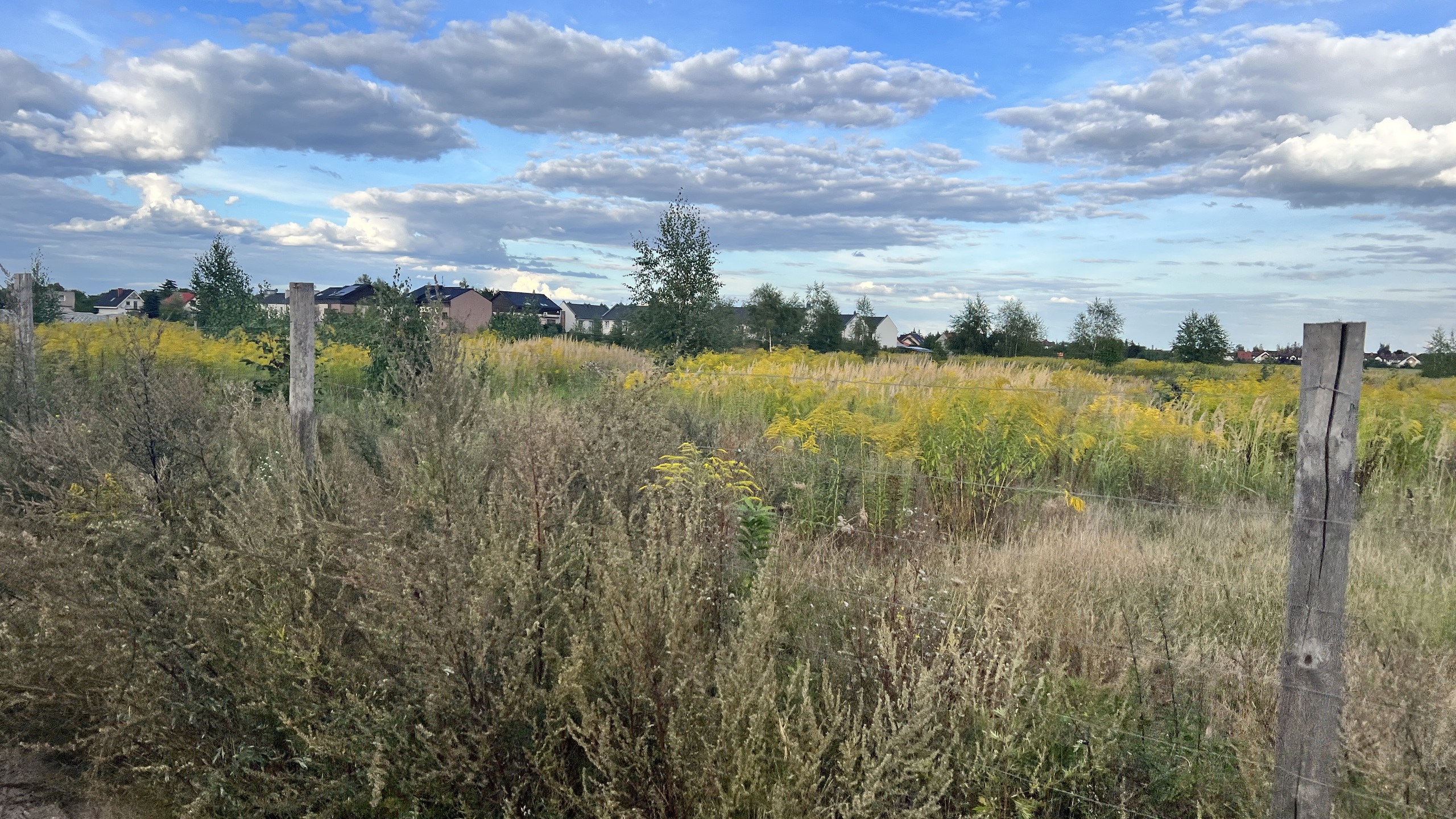 Działka w spokojnej okolicy - zdjęcie 8