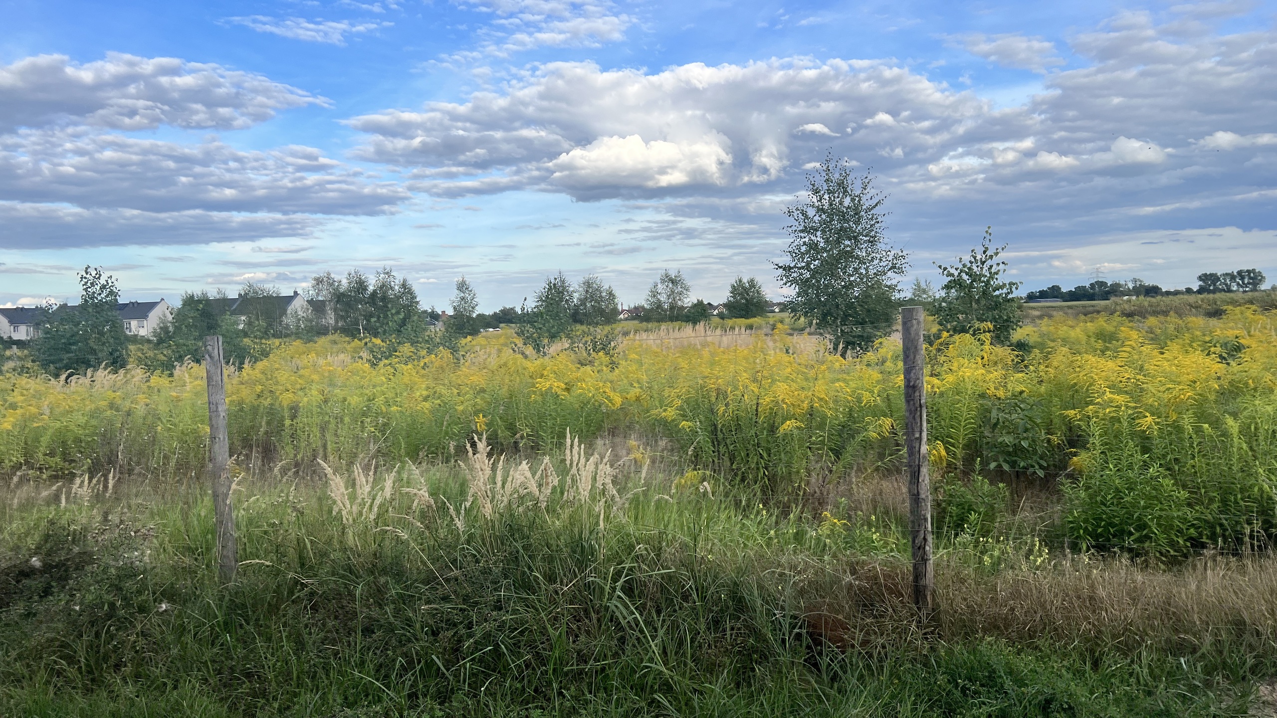 Działka w spokojnej okolicy - zdjęcie 6