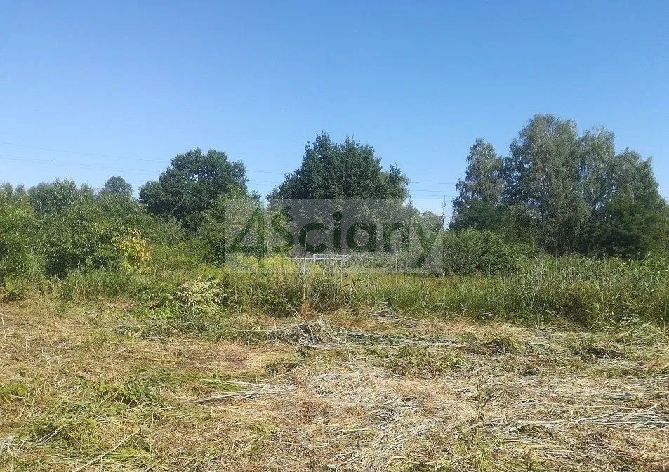 Działka budowlana 1,80 ha, Podkowa Leśna - zdjęcie 5