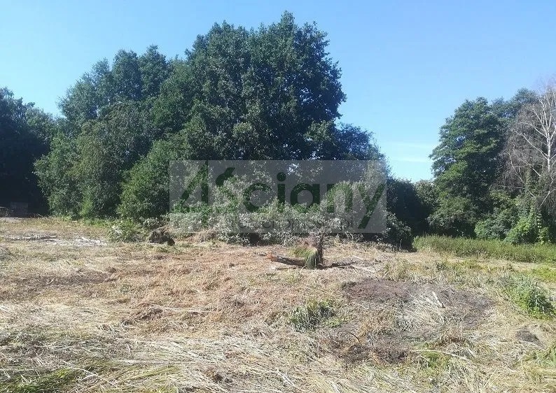 Działka budowlana 1,80 ha, Podkowa Leśna - zdjęcie 1