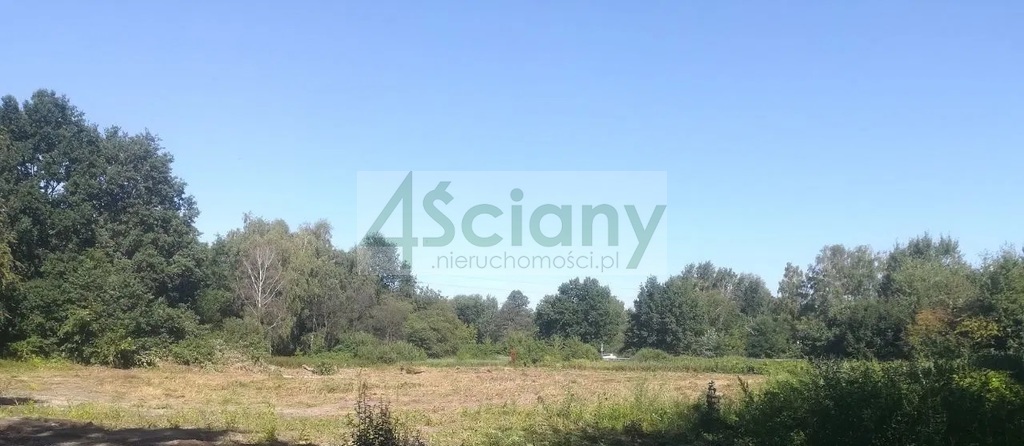 Działka budowlana 1,80 ha, Podkowa Leśna - zdjęcie 3