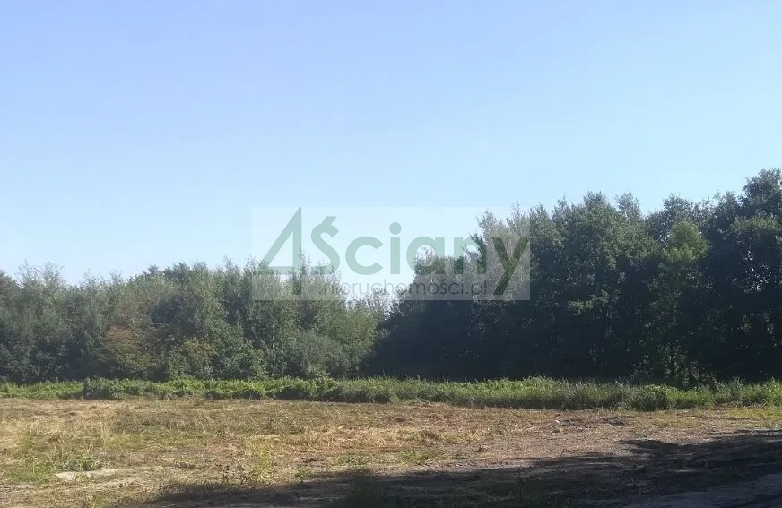 Działka budowlana 1,80 ha, Podkowa Leśna - zdjęcie 4