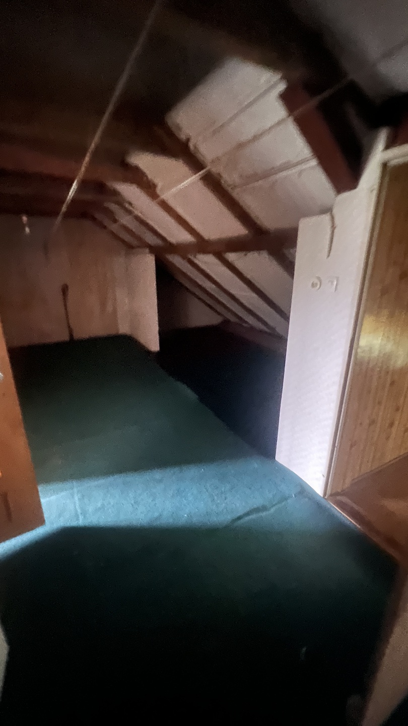 Przestronny dom wolnostojący w spokojnej okolicy - zdjęcie 11