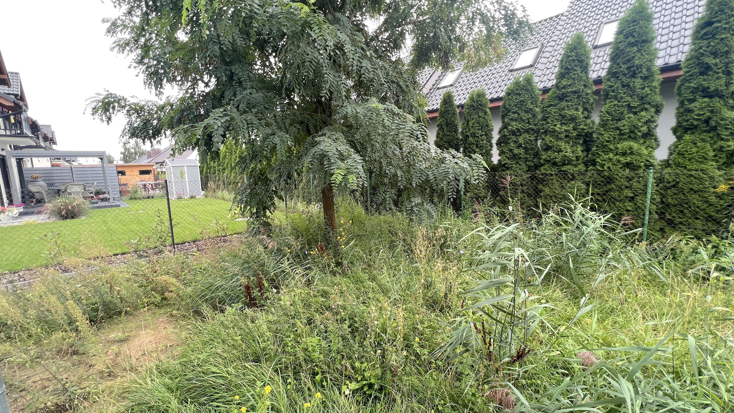 Dom w zabudowie bliźniaczej w Dębienku k/Stęszewa - zdjęcie 14