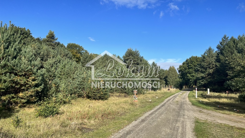 Działka rolna 2656 m², Brzózki - zdjęcie 3