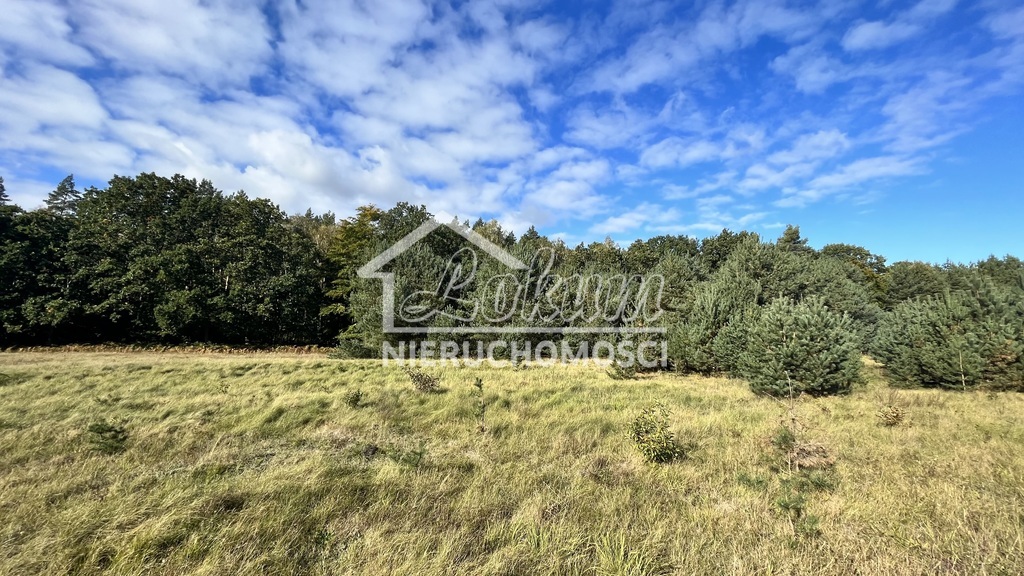 Działka rolna 2656 m², Brzózki - zdjęcie 2