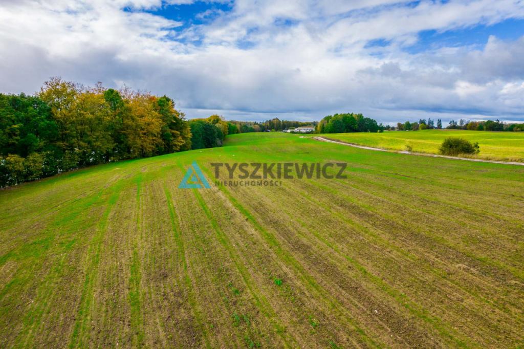 Malownicza działka rolna przy Jeziorze Dolskie - zdjęcie 17