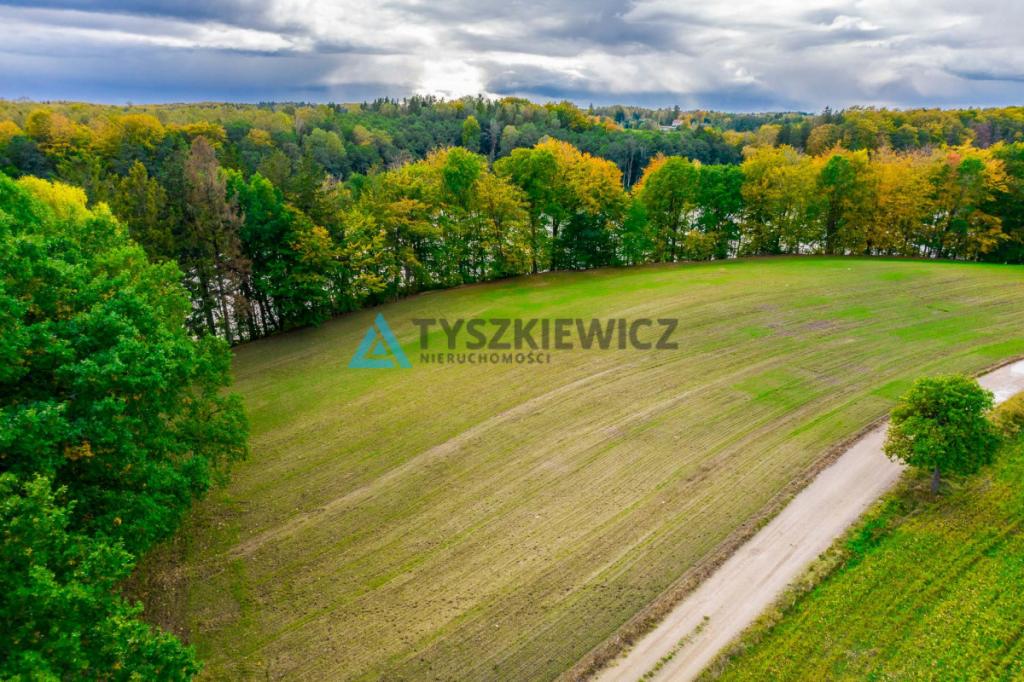 Malownicza działka rolna przy Jeziorze Dolskie - zdjęcie 15