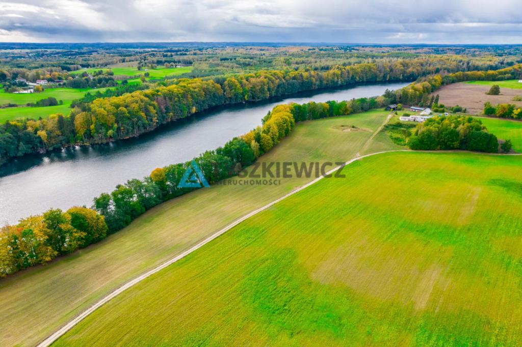 Malownicza działka rolna przy Jeziorze Dolskie - zdjęcie 3