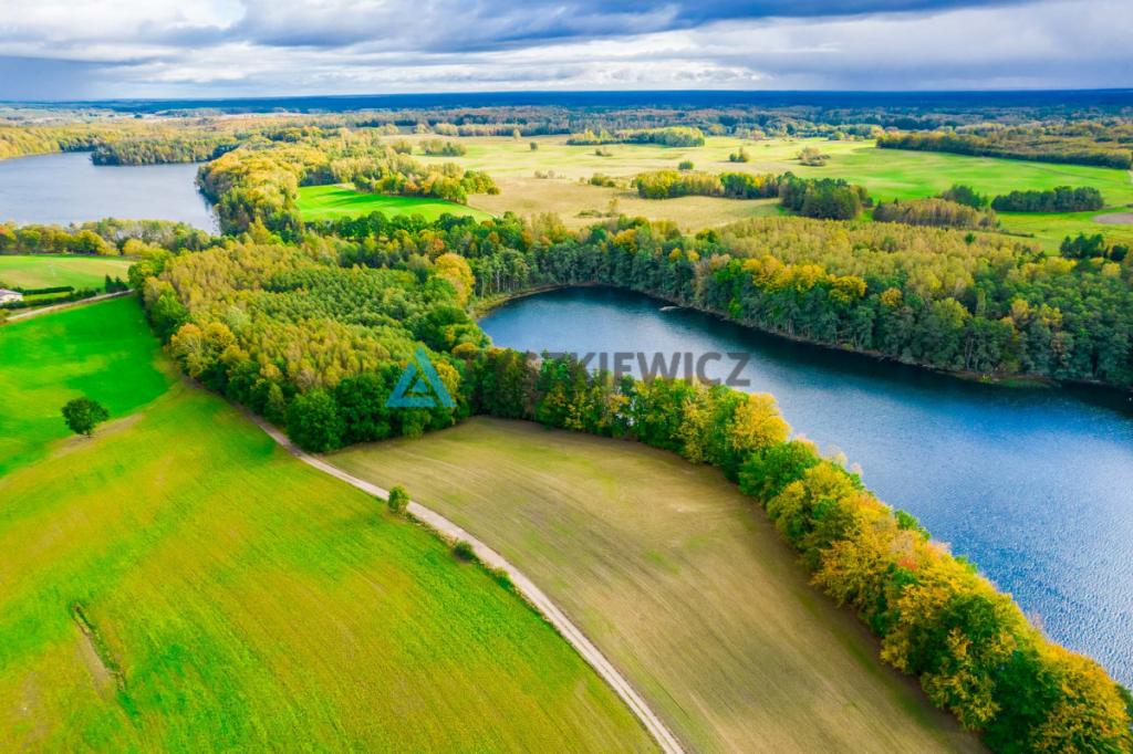 Malownicza działka rolna przy Jeziorze Dolskie - zdjęcie 4
