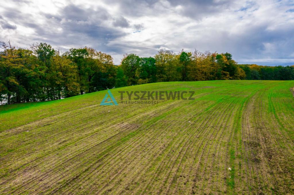Malownicza działka rolna przy Jeziorze Dolskie - zdjęcie 16