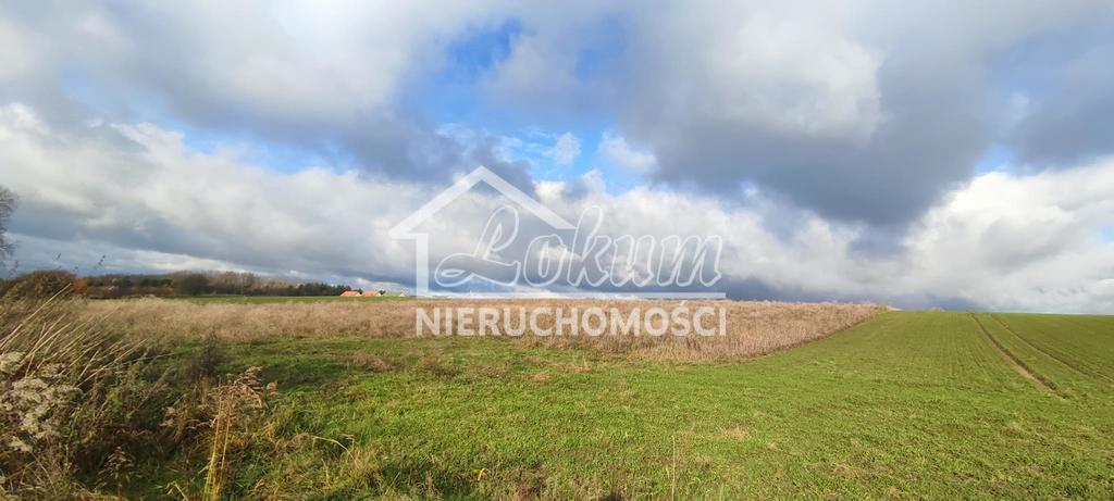 Działka budowlana 1400&nbsp;m², Goleniów - zdjęcie 3