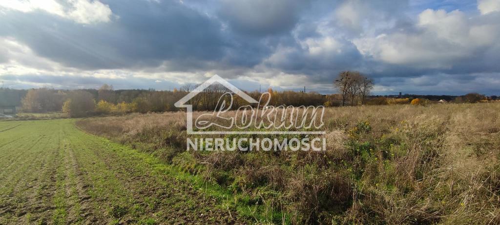 Działka budowlana 1400&nbsp;m², Goleniów - zdjęcie 5