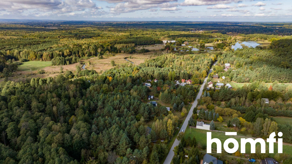 Działka rolna 7440&nbsp;m², Chałupki Łaziskie, Świerkowa - zdjęcie 6