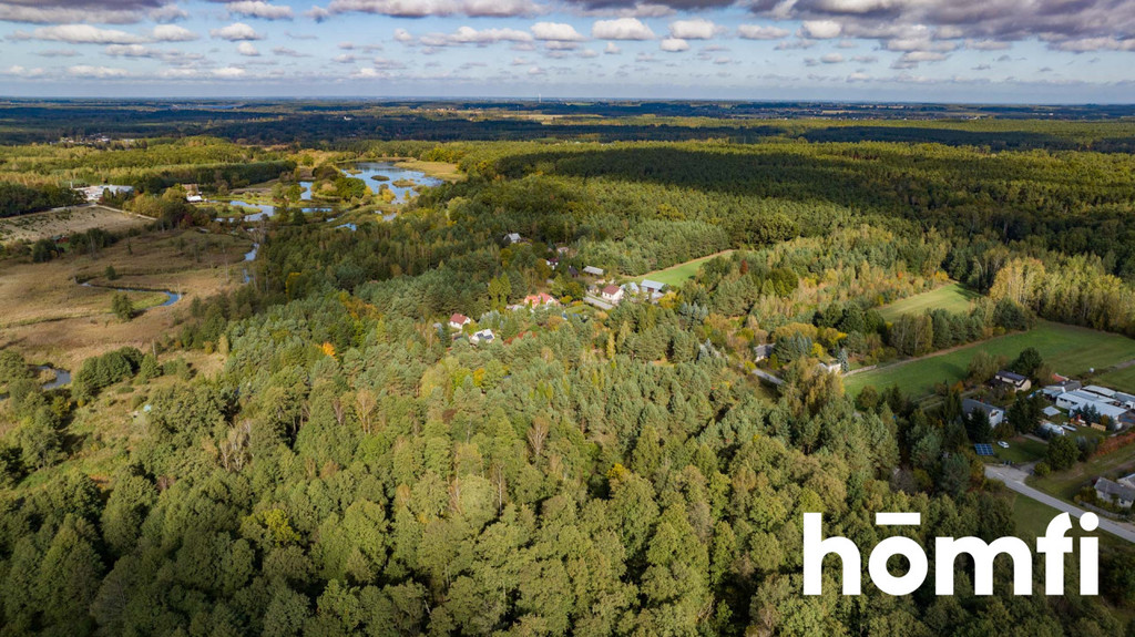 Działka rolna 7440&nbsp;m², Chałupki Łaziskie, Świerkowa - zdjęcie 5