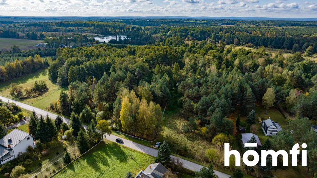 Działka rolna 7440&nbsp;m², Chałupki Łaziskie, Świerkowa - zdjęcie 4