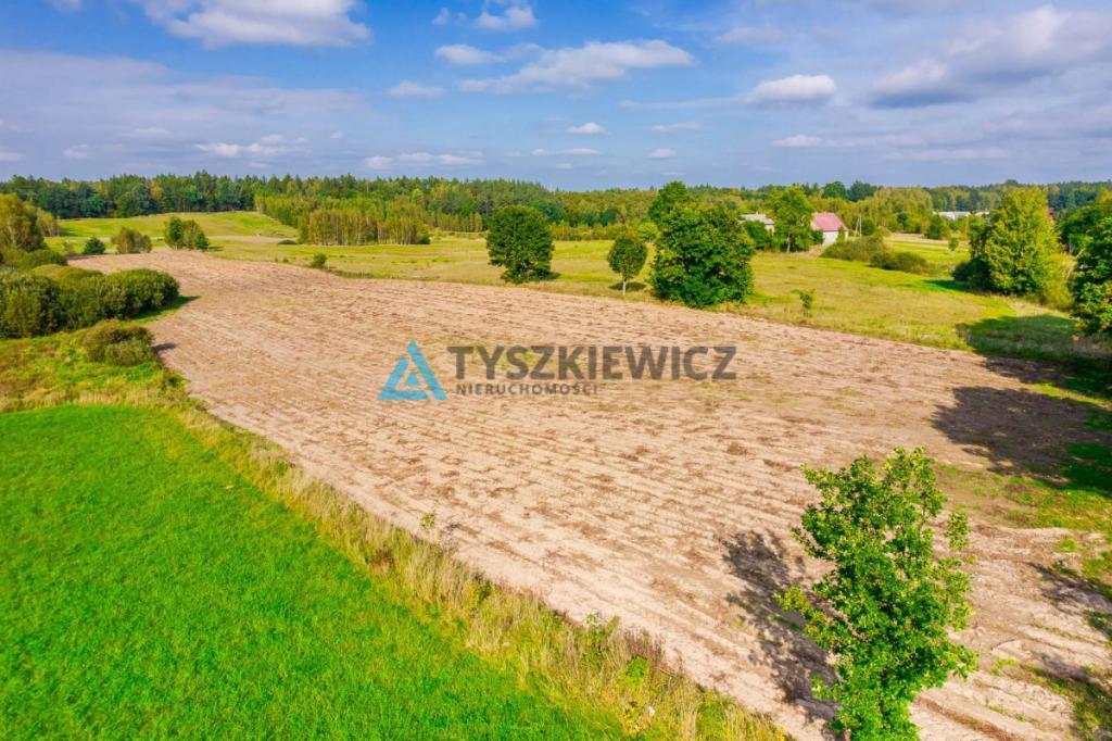 Działki budowalne w Nowej Wsi Przywidzkiej - zdjęcie 12