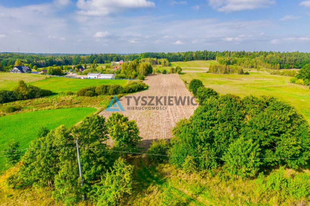 Działki budowalne w Nowej Wsi Przywidzkiej - zdjęcie 13