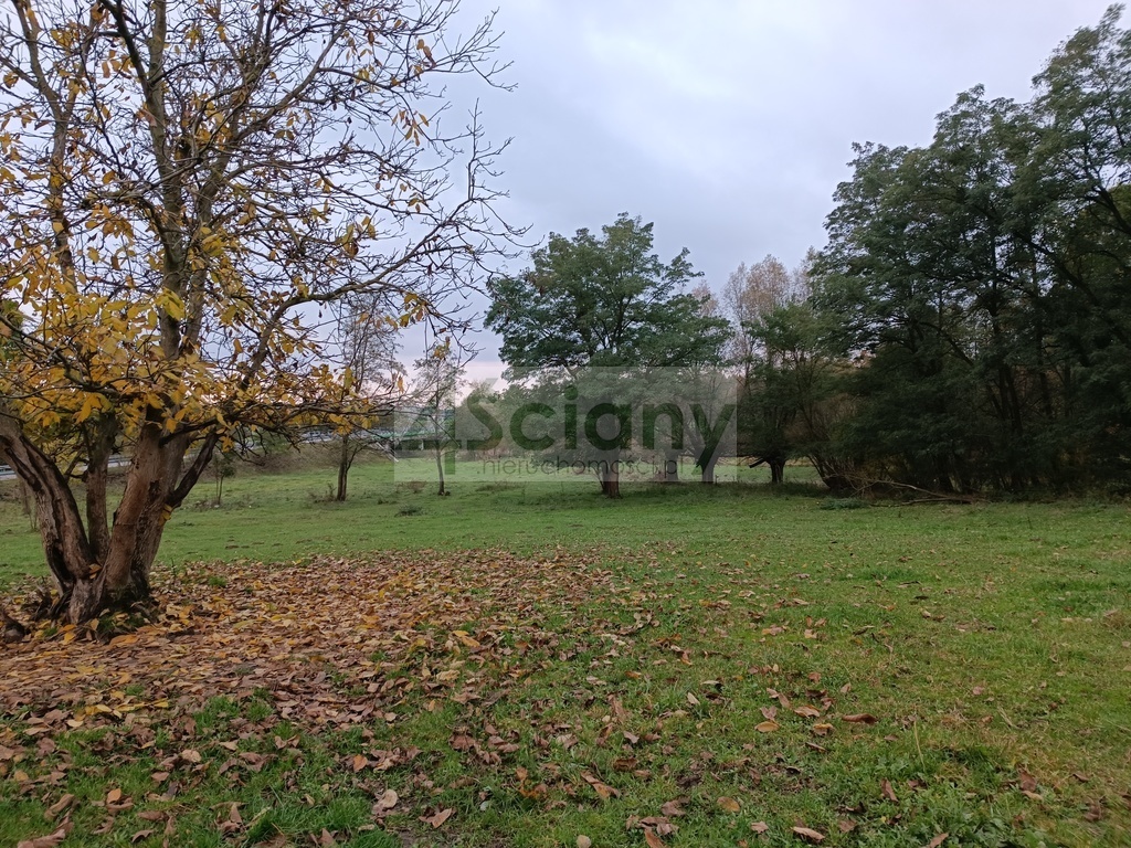 Dom 500&nbsp;m², Radzimowice - zdjęcie 15