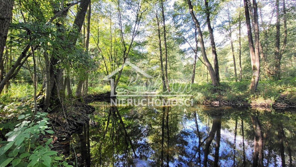 Działka rolna 4,05&nbsp;ha, Staw - zdjęcie 9