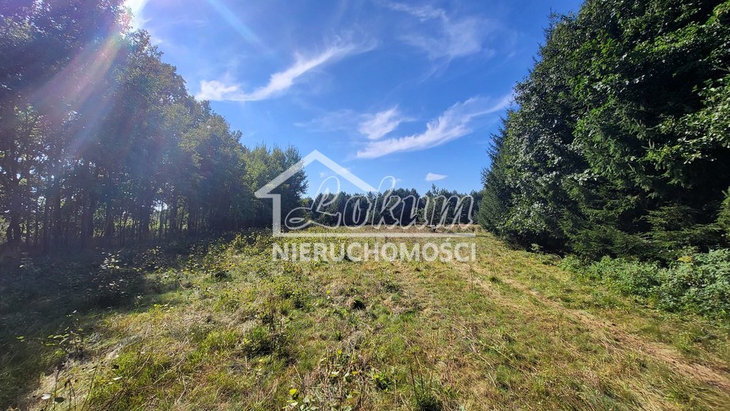 Działka rolna 4,05&nbsp;ha, Staw - zdjęcie 8