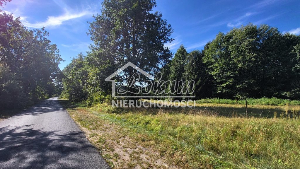 Działka rolna 4,05&nbsp;ha, Staw - zdjęcie 5