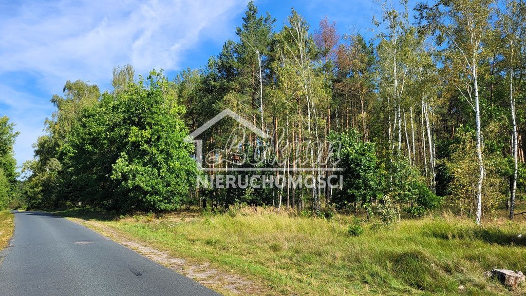 Działka rolna 4,05&nbsp;ha, Staw - zdjęcie 11