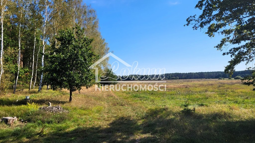 Działka rolna 4,05&nbsp;ha, Staw - zdjęcie 15