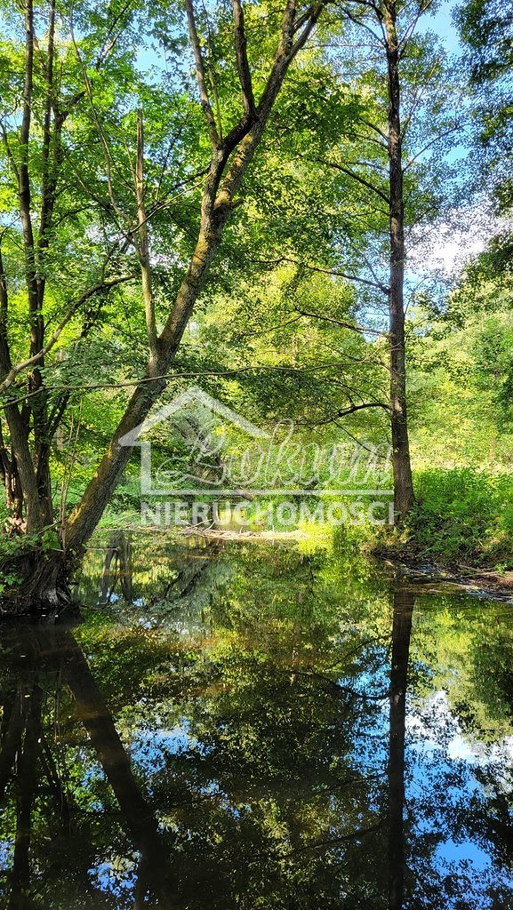 Działka rolna 4,05&nbsp;ha, Staw - zdjęcie 10