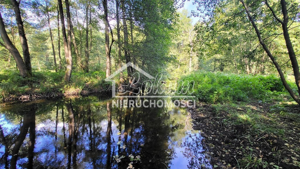 Działka rolna 4,05 ha, Staw - zdjęcie 3