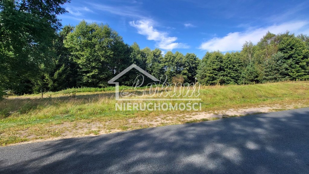 Działka rolna 4,05&nbsp;ha, Staw - zdjęcie 13